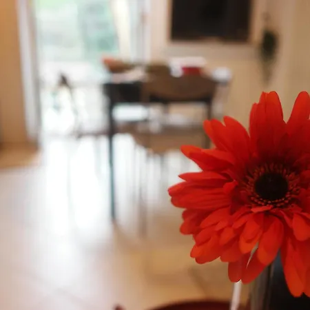 Il Nido Di Marirò Appartamento