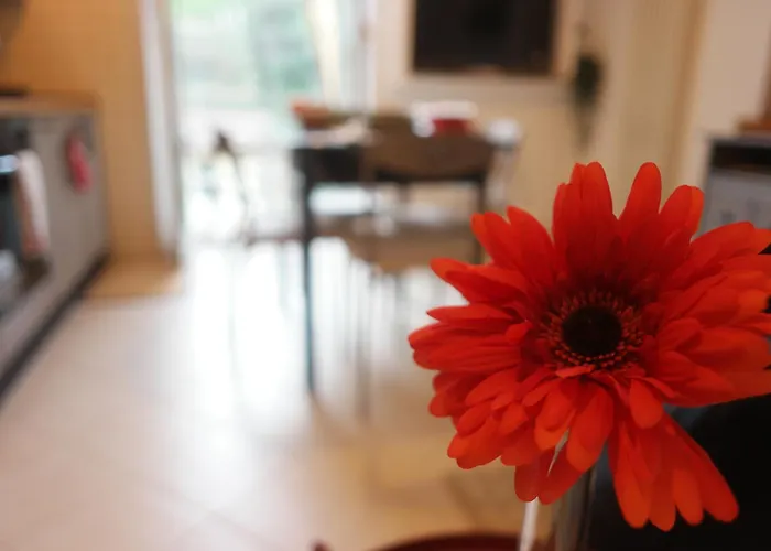 Il Nido Di Mariro Apartment