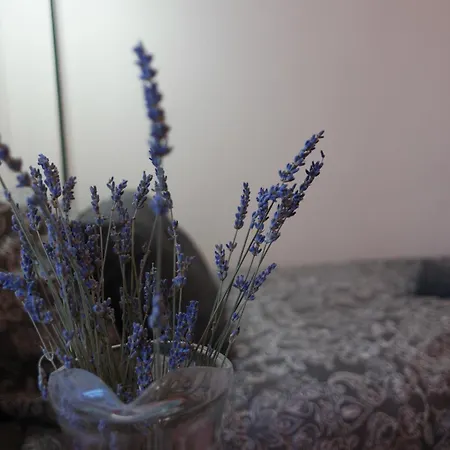 דירה Il Nido Di Mariro